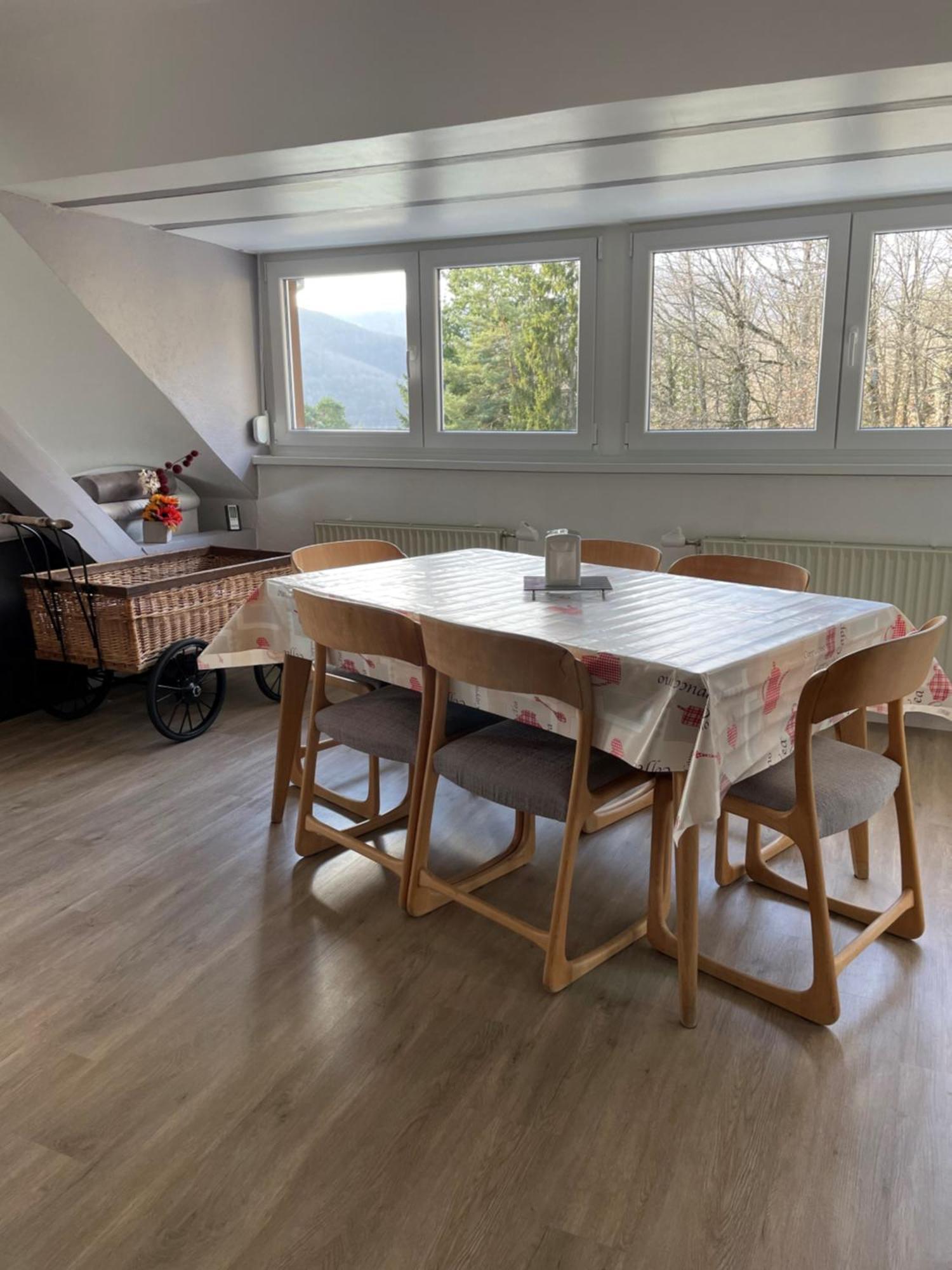 Gite Spacieux, Lumineux Et Tres Cosy Lautenbach Exterior photo